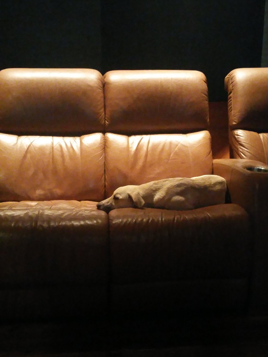 SamberProd's tweet photo. @CanadasSmartest saije has the beat seat in the studio! https://t.co/Wds3IOD5zN
