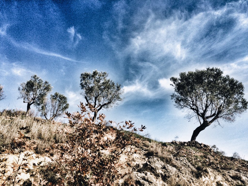 BevisFusha's tweet photo. #krrabe #elbasan #albania https://t.co/5yAnQWnnUP