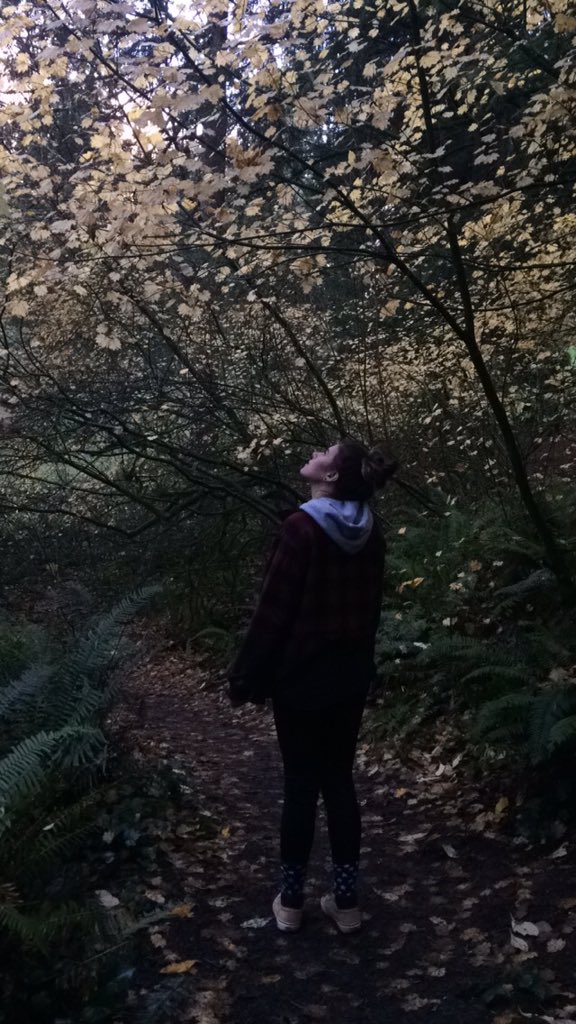 SaraahBoBaraa's tweet image. Forest park today. #fallaf