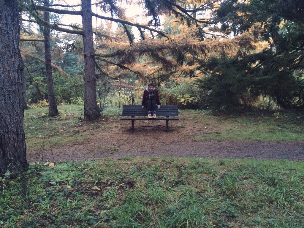 SaraahBoBaraa's tweet image. Forest park today. #fallaf