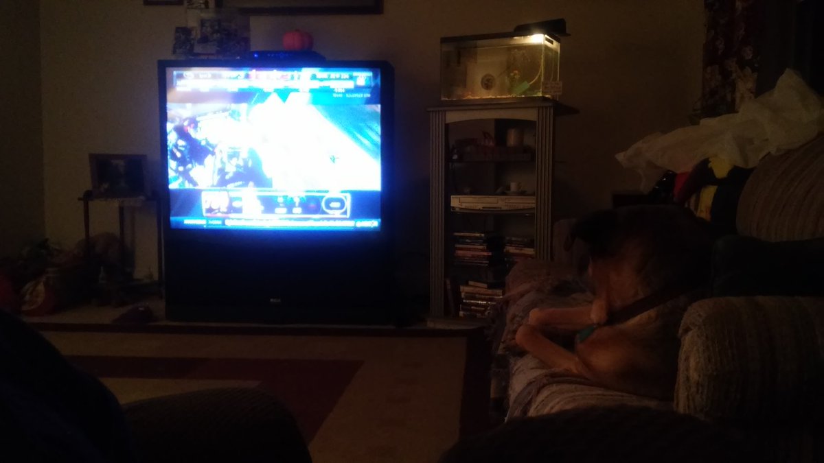 DWilliamsFD5's tweet photo. @NASCAR @NBCSN Sammi and I are ready for some racing! How about a RT or Fav for my racing infatuated pup #RainDelay https://t.co/nla2vMKEWC