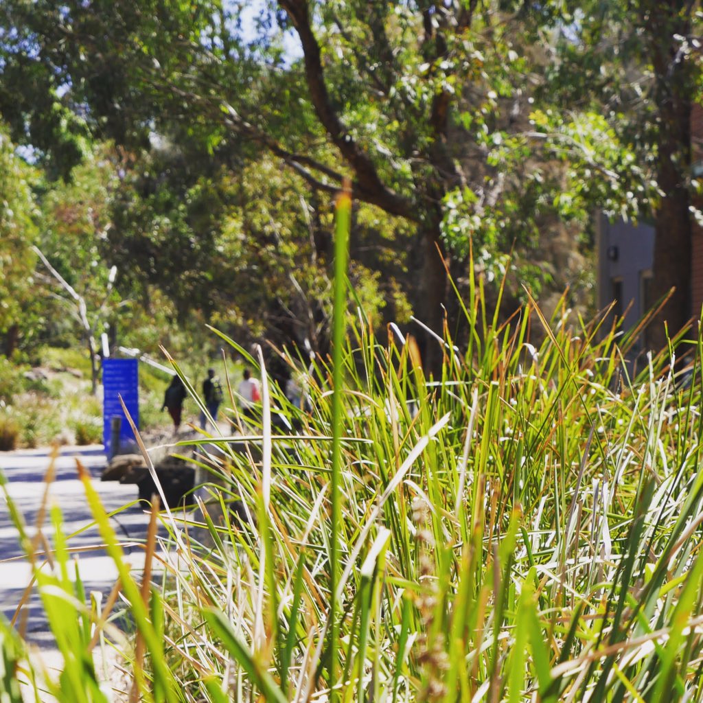 victoriauninews's tweet image. Exams are over &amp;amp; the sun is shining! How are you spending your time today? ☀️
#grasslands #stalbans #emptycampus