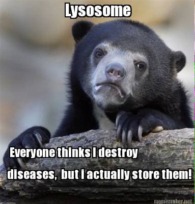 smoothastheER's tweet photo. Can store hurler disease. Hurling a cell into disaster is more like it #organellewars #leduc6 @WHSBiologyLeDuc https://t.co/lhadHJjvHa