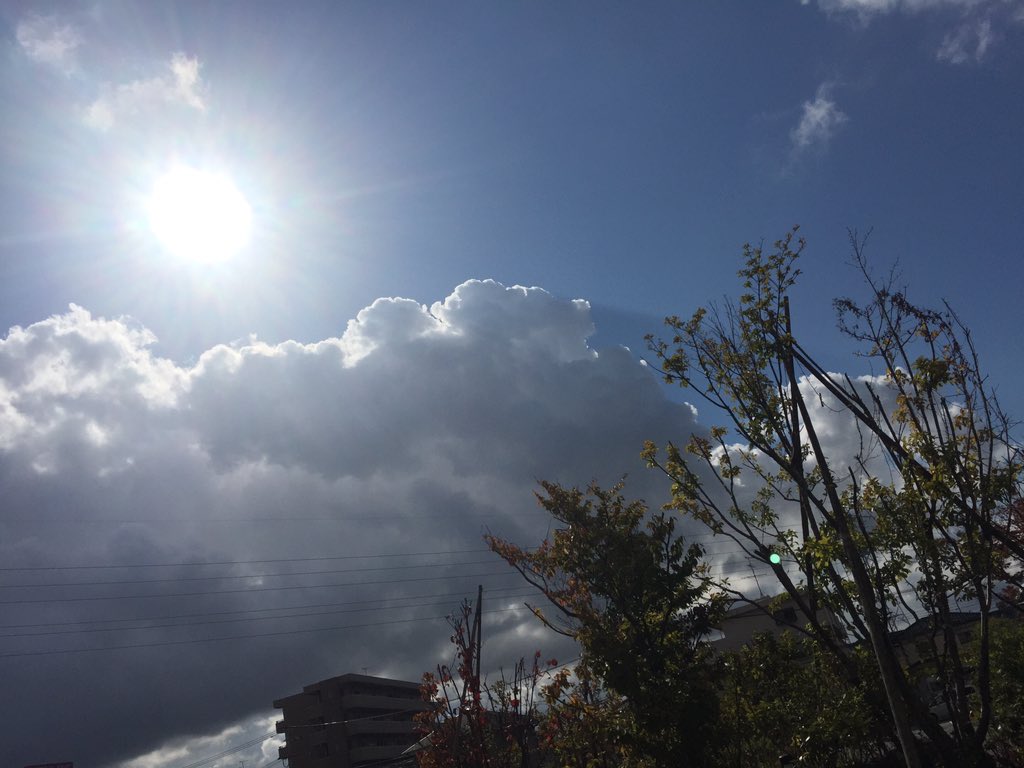紫鶴來on Twitter 空 綺麗https T Co P3br17bism