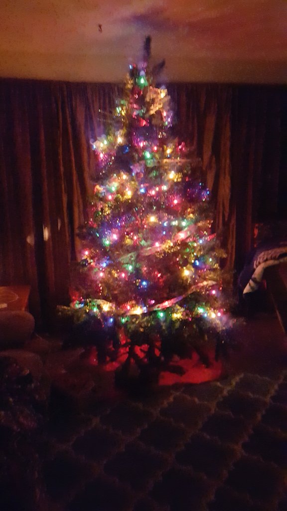 ShelbyMoore52's tweet photo. Our first Christmas in our own home together! Getting started a bit early. @Cmfg1221 💚🎄❤ https://t.co/8TMfVtWrlg