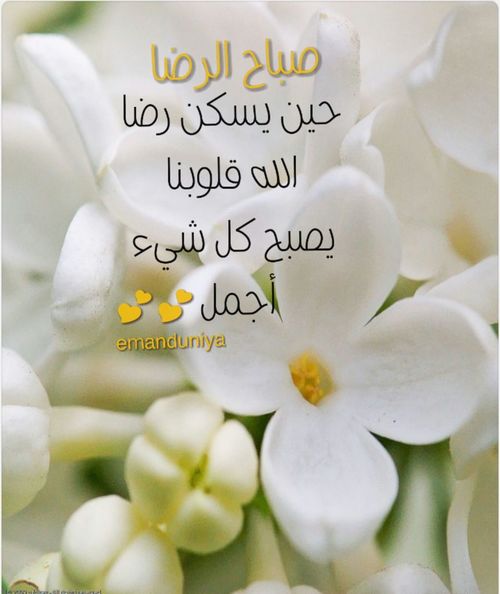 اصبحنا واصبح الملك لله