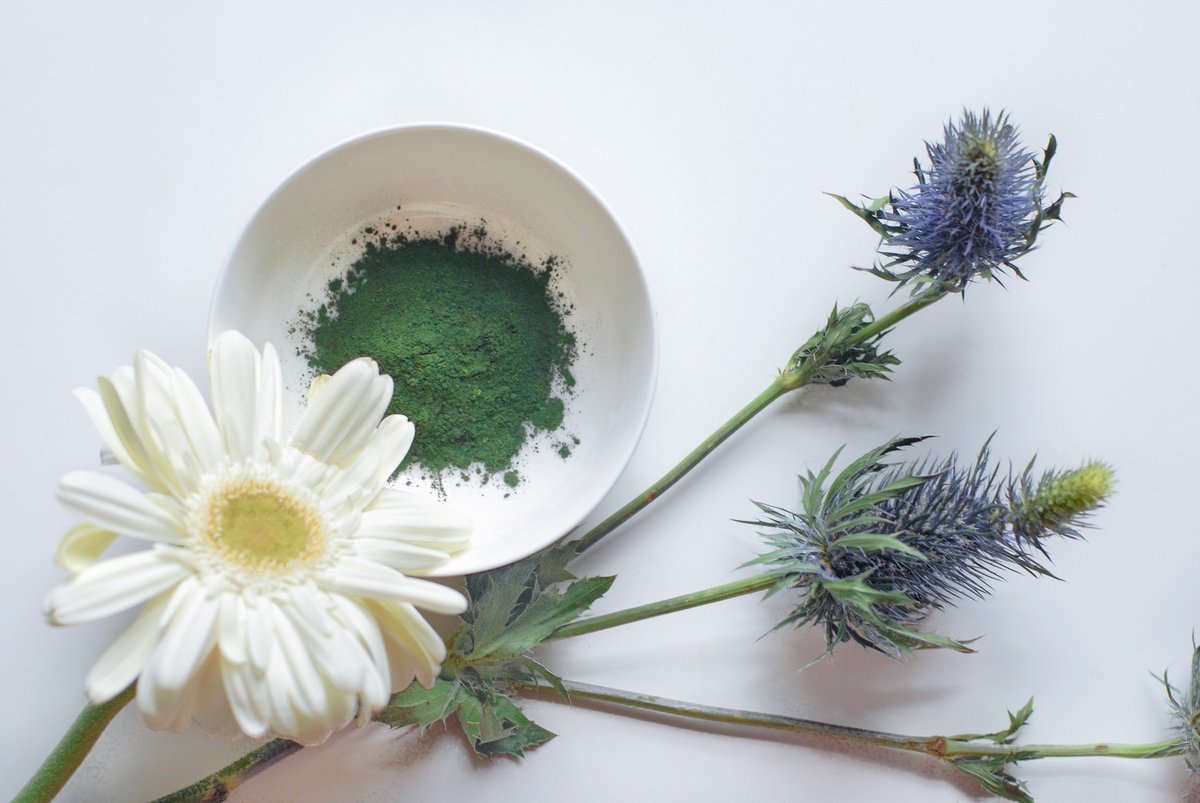 EcoDivaBeauty's tweet photo. The skin benefits of blue-green algae plus #diyskincare recipe. https://t.co/LPzSfCtf8t @ginakambo #ecodivabeautylab https://t.co/STrA1RFpYT