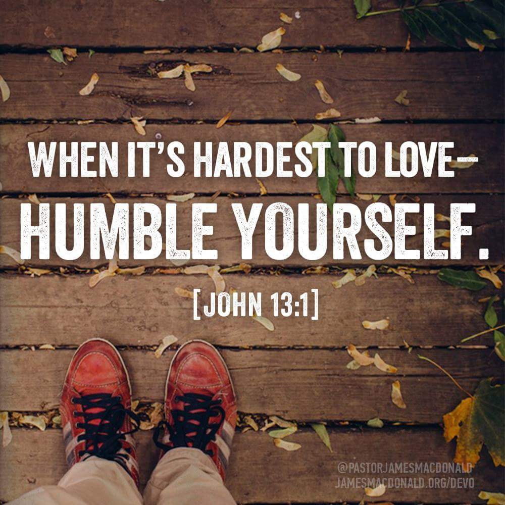 edrell88's tweet image. 