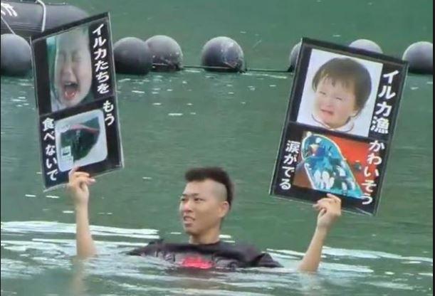 sbatch1's tweet image. 動物を愛する日本の多くの善良な人々 が集まっています。イルカを助けてください。殺害され、キャプチャに対する抗議。イルカのショーに出席しません。 #Tweet4Dolphins #OpHenkaku #tweet4taiji