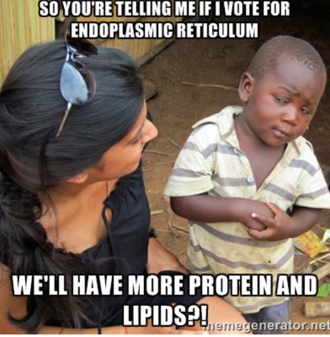 ERslays's tweet photo. #organellewars #endoplasmicreticulum https://t.co/hTHfTE6dMZ
