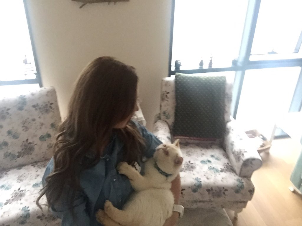 mineiseri's tweet photo. Evimin Muhtarı 😻 #muhtarthecat #seviom https://t.co/TEj2H1fkix