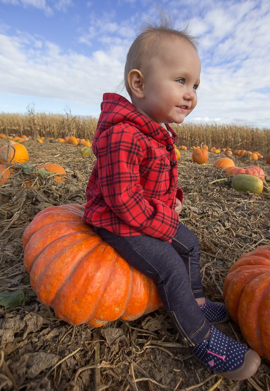 Photos make the best Holiday gifts that truly last a lifetime .
