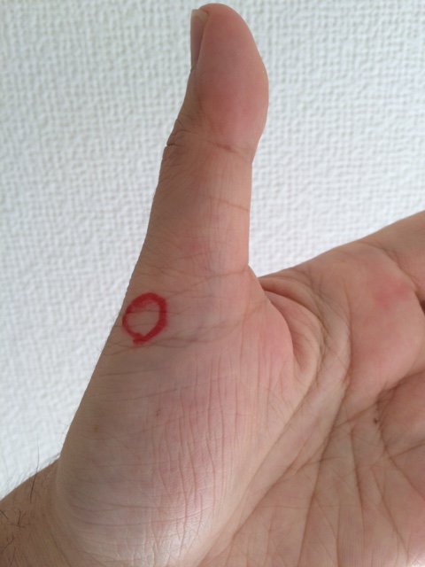 千葉県野田市の漢方相談薬局 クスリのらくだ Auf Twitter ツボ の話 下痢や冷えなどの症状が気になった時は 手のひら側の親指の付け根の膨らんだ部分の外側 写真参考 にある 魚際 ぎょさい というツボを押してみると良いかも 押したら痛い 気持ちいい方に