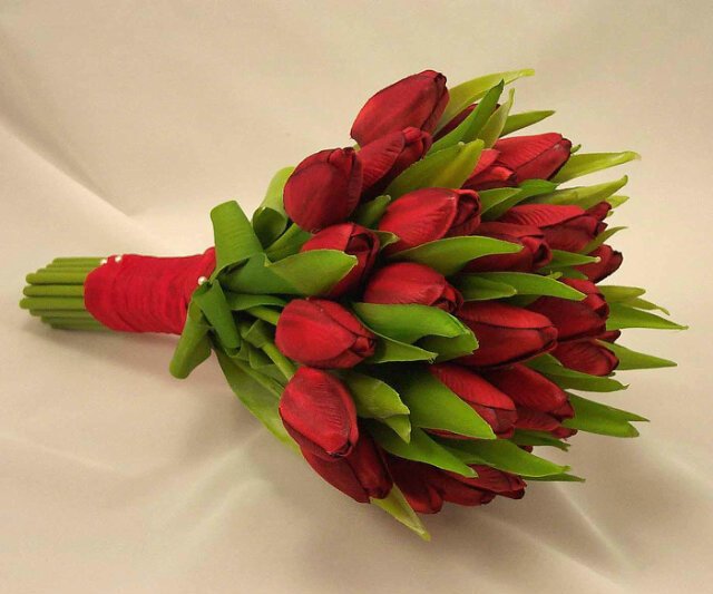 LeChaiq's tweet photo. Tulips for my dearest girl @Anieks01 https://t.co/iJXilDYyvi