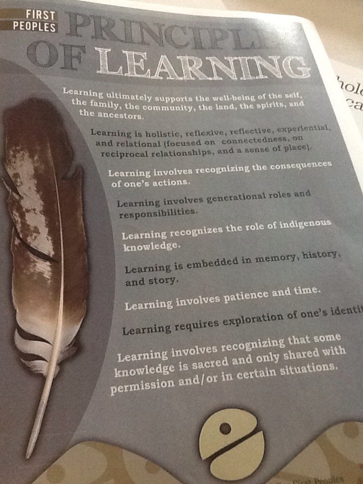 RaeSnape's tweet photo. This model for school improvement: Humane &amp; sustaining @rmlofthouse @TobyGreany @noiiaesn #SpiralsInquiry &amp;:-) https://t.co/IbioDuBKI5