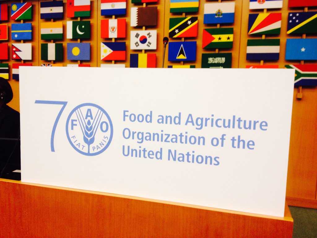 brsmeas's tweet photo. Tomorrow 11am CET: Join the webinar for latest #POPRC11 #CRC11 #chemicals outcomes @UNEP @FAOnews @UNIDO @SDG2030 https://t.co/0pwxNGO7nc