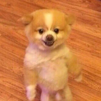 Hocam kağıtları okudunuz mu