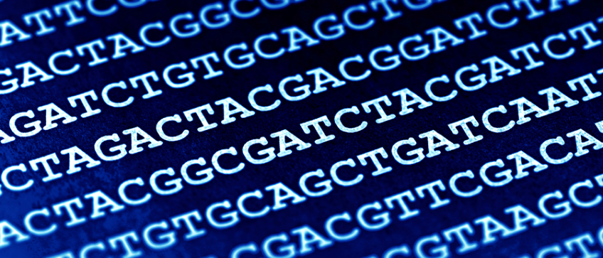 EORTC's tweet photo. 14M Genomics &amp; #EORTC &amp; Announce First Results from their Collaboration on Tumour Profiling https://t.co/nLSq12MBhd https://t.co/6Hw6itJwDy