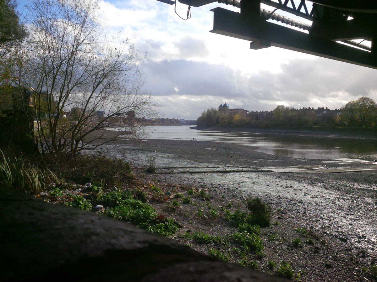 art_mag's tweet photo. #ThamesToday spot the cormorants https://t.co/ob0QDMmkmH