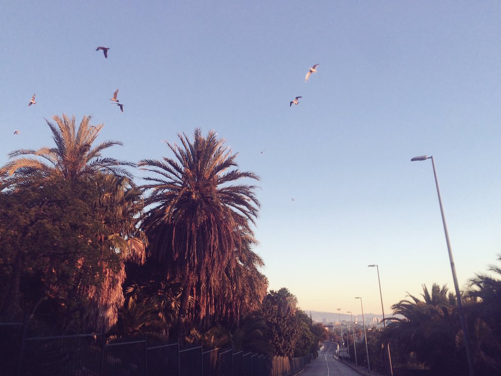 Rosa Barcelona. Llevar-se ben d'hora ben d'hora quan els carrers fan ecco.