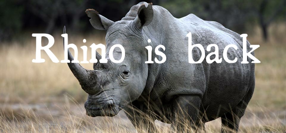 AbiApps19's tweet photo. #rhinoisback https://t.co/nTWiPlnbaR