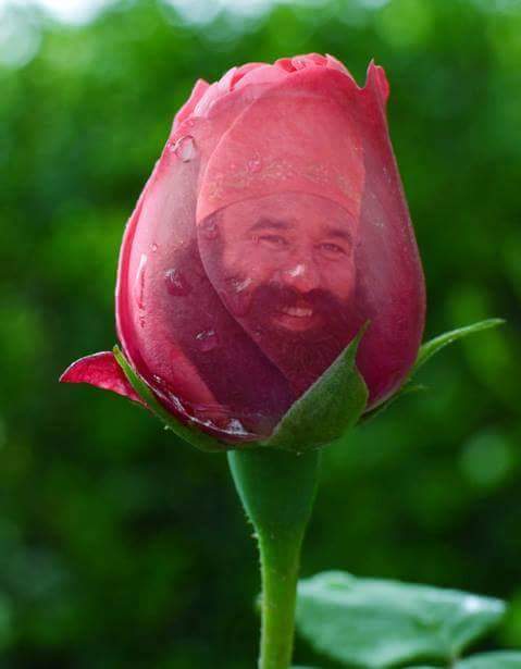 SethiShabnam's tweet photo. @Gurmeetramrahim #MSG2AtTheTop https://t.co/mMXldll8Qx