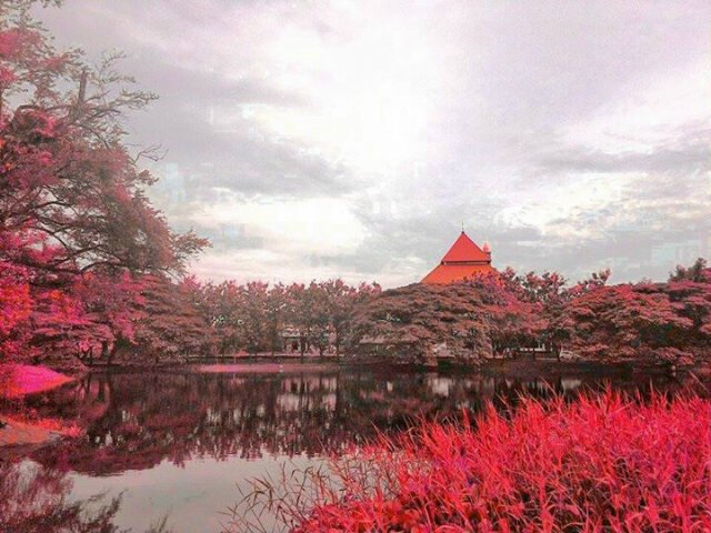 zee_lia's tweet photo. https://t.co/0oOXwsnl2F