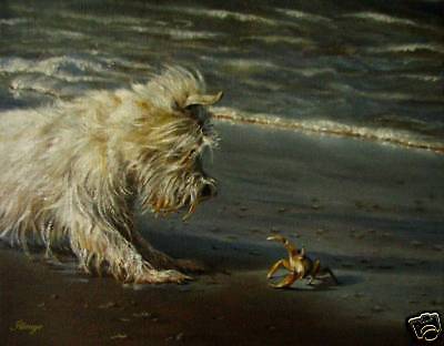 zeppy.io pets tweet media