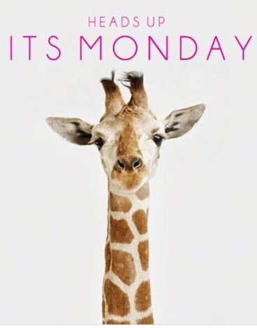 WordsPWS's tweet image. Here's to a good week! #MondayMotivation