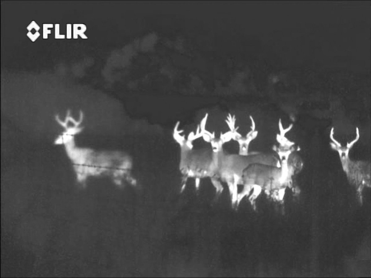 Our November Sale is still on! Use code 08112015 to receive 5% off all FLIR, Guide &amp; Pulsar infrared cameras.