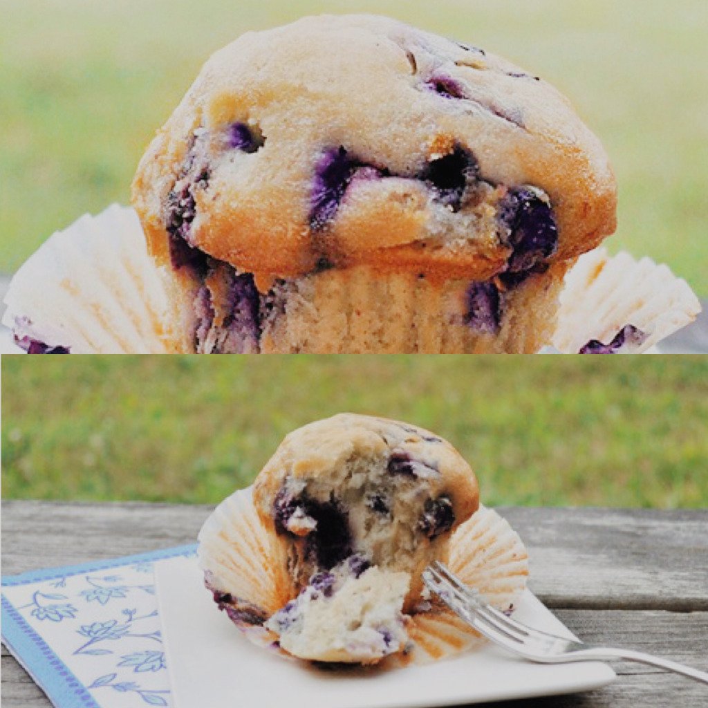 nomnom_healthy's tweet photo. Single-Serving Blueberry Muffin https://t.co/OwGFY56aCB https://t.co/qTNDRMus0N