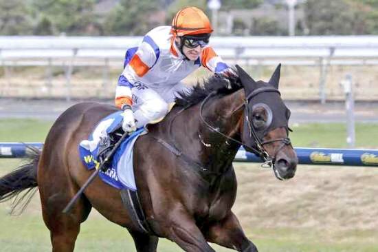 MrBackchat2010's tweet image. Stubby getting the job done!
#winning #burgerman