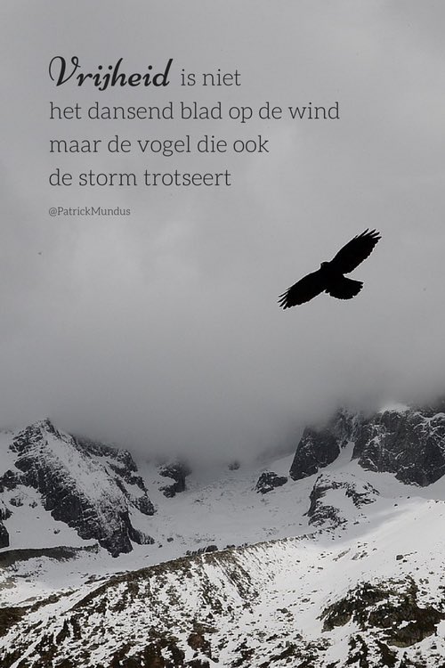 Mark Cobussen (@markcobussen) on Twitter photo 