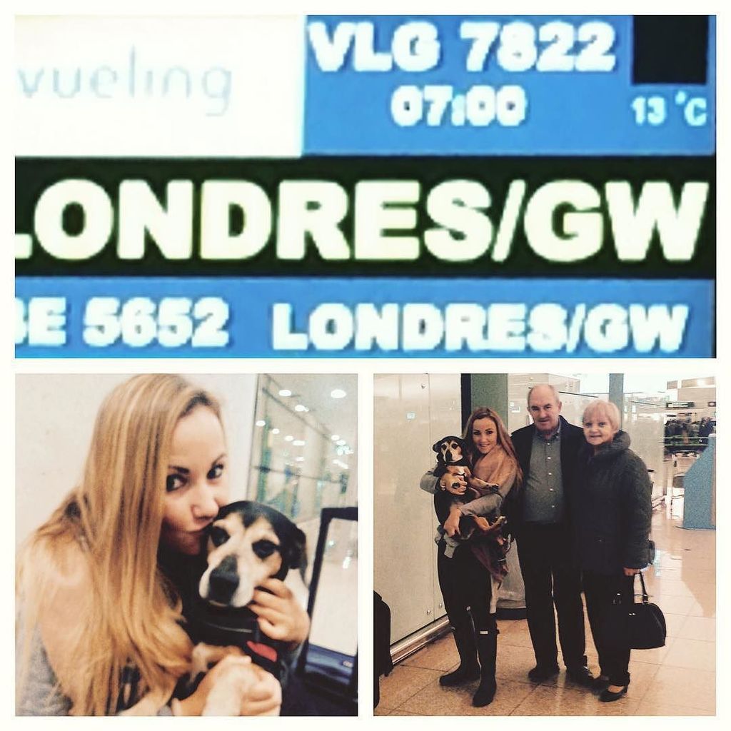 SilviaMogas's tweet photo. See you soon Barcelona, Hello Brighton! 🇬🇧 #todayisthefirstday #newbeginnings #newprojects… https://t.co/7zPRiVrng5 https://t.co/m5ejkmr8pF