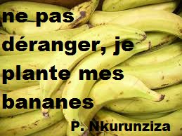 newsforeveryone's tweet photo. #Burundi #16nov2015 Mr. President Nkurunziza why do not you react to what happens or you grow your bananas? https://t.co/C9SgWpXyrP