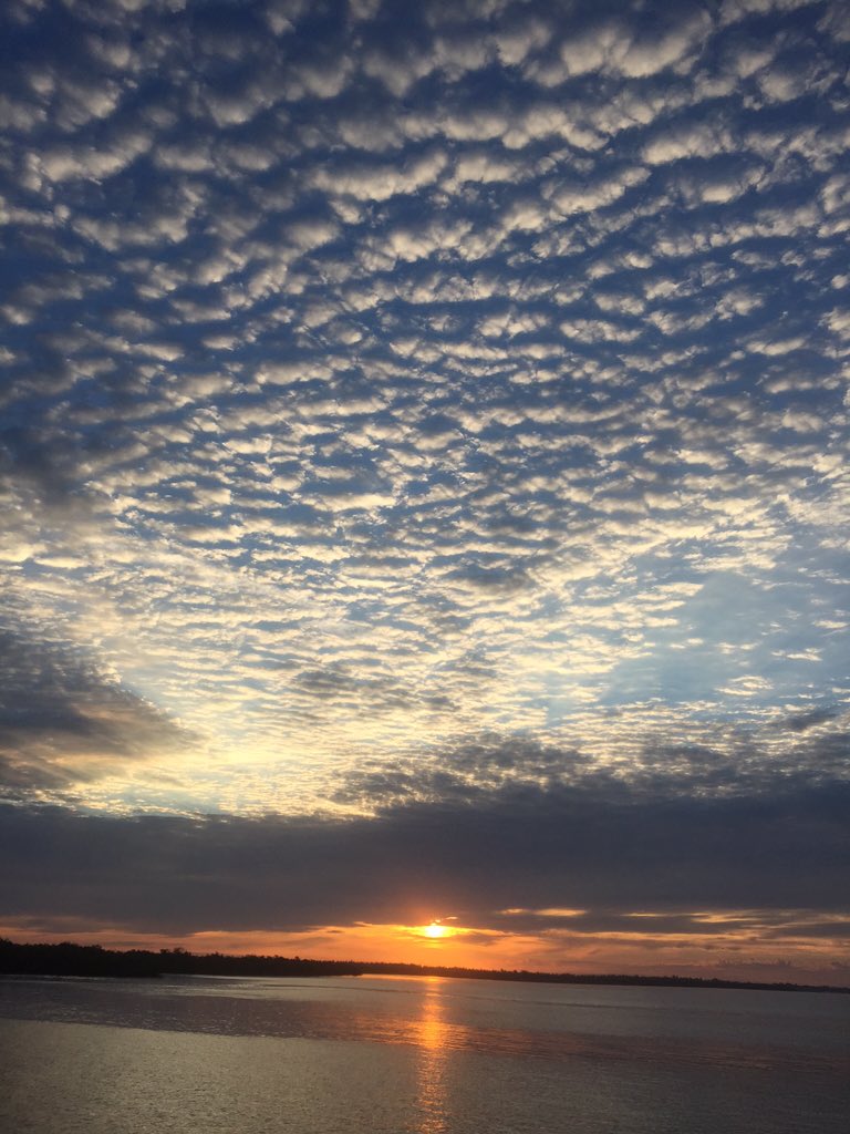 MatOutdoors's tweet photo. Good Morning #FloridaLiving @ShimanoFishUSA @SaltLifeOptics @AftcoFishing @RapalaVMC https://t.co/AwcRqIIaWm