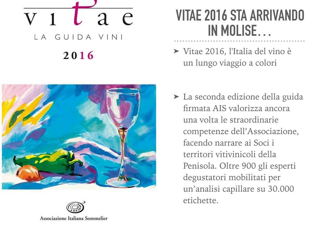 AisMolise's tweet photo. #vitae2016 sta arrivando in #Molise #aismolise #ais #sommelier https://t.co/y5ADkP28yG