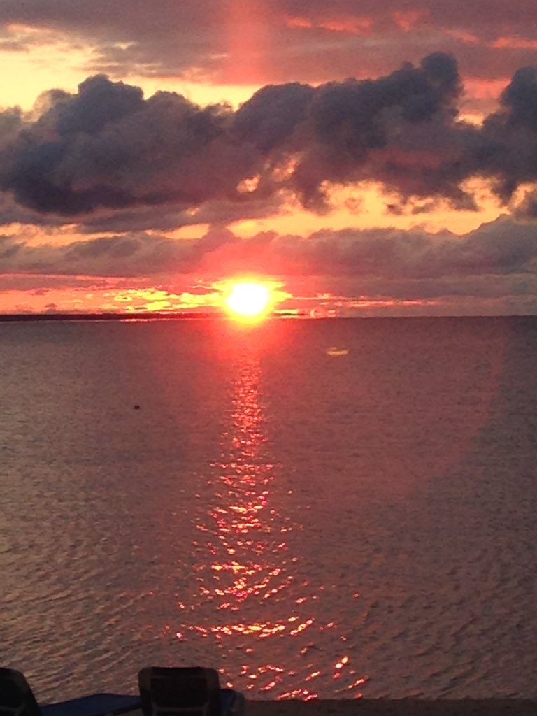 randomfriend666's tweet image. 