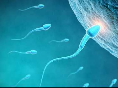 SehatGuide's tweet photo. Survei Ini Sebut Wanita Lebih Tertarik Donor Sperma yang Pemalu dan Kalem https://t.co/KbaroPAb0S  https://t.co/MvK5sXBIWG