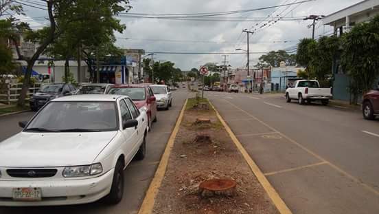 XEVATabasco's tweet photo. Habitantes de la colonia Primero de Mayo demandarán al @OficialCentro por la tala de árboles en la Av. Quintín Arauz https://t.co/b2V64sCNlg