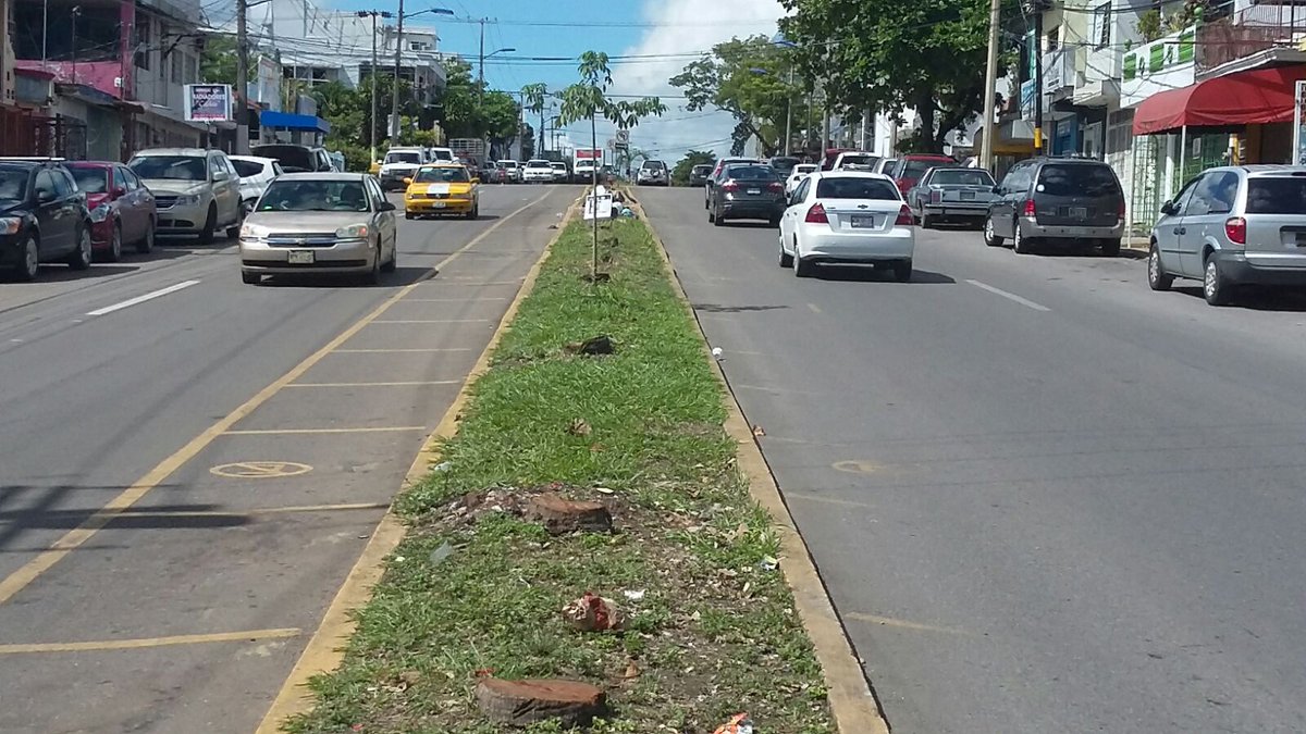 XEVATabasco's tweet photo. Habitantes de la colonia Primero de Mayo demandarán al @OficialCentro por la tala de árboles en la Av. Quintín Arauz https://t.co/b2V64sCNlg