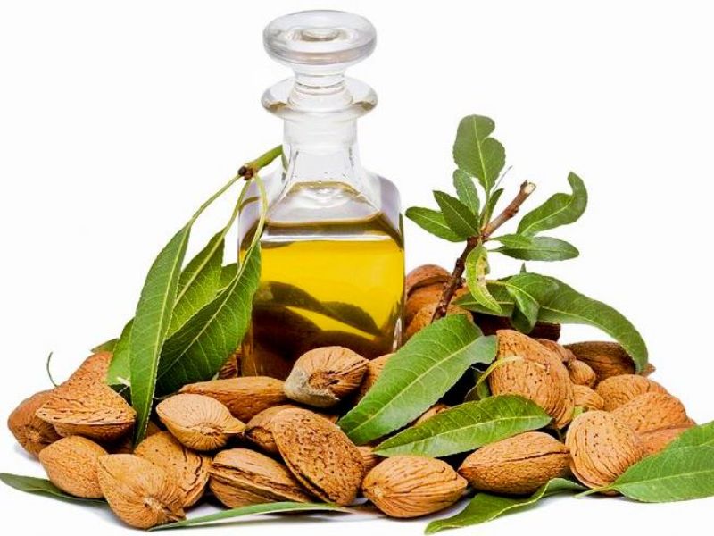 The_Health_Zone's tweet photo. Almonds Oil Health Benefits
https://t.co/1uphtpsTe9
#Almondoil #health #dryfruits #Fitness #nutrition #foodbloggers https://t.co/YWaAJ3snmz