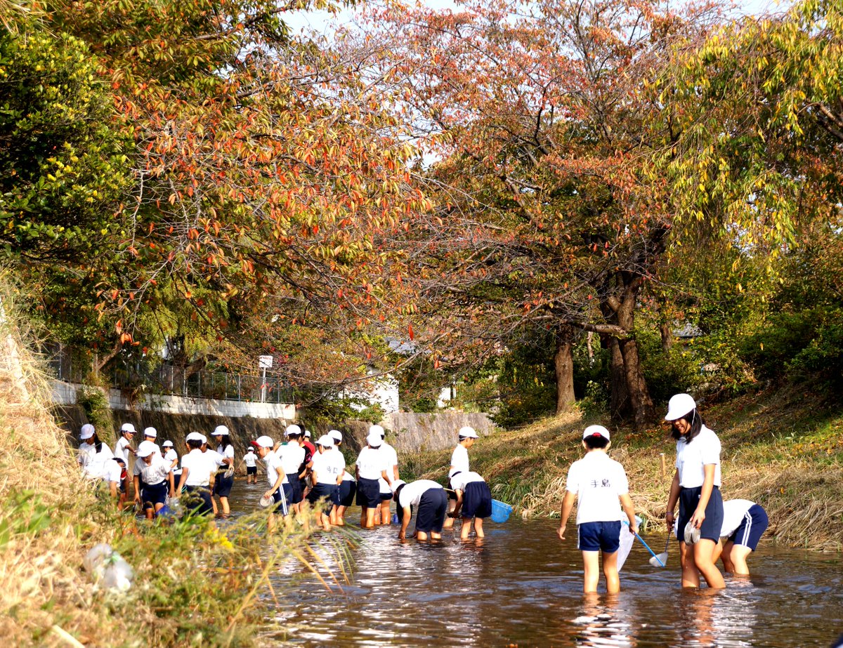 五反田川 貢川錦鯉放流から考える 何故放流事業はやめられないのか 2ページ目 Togetter
