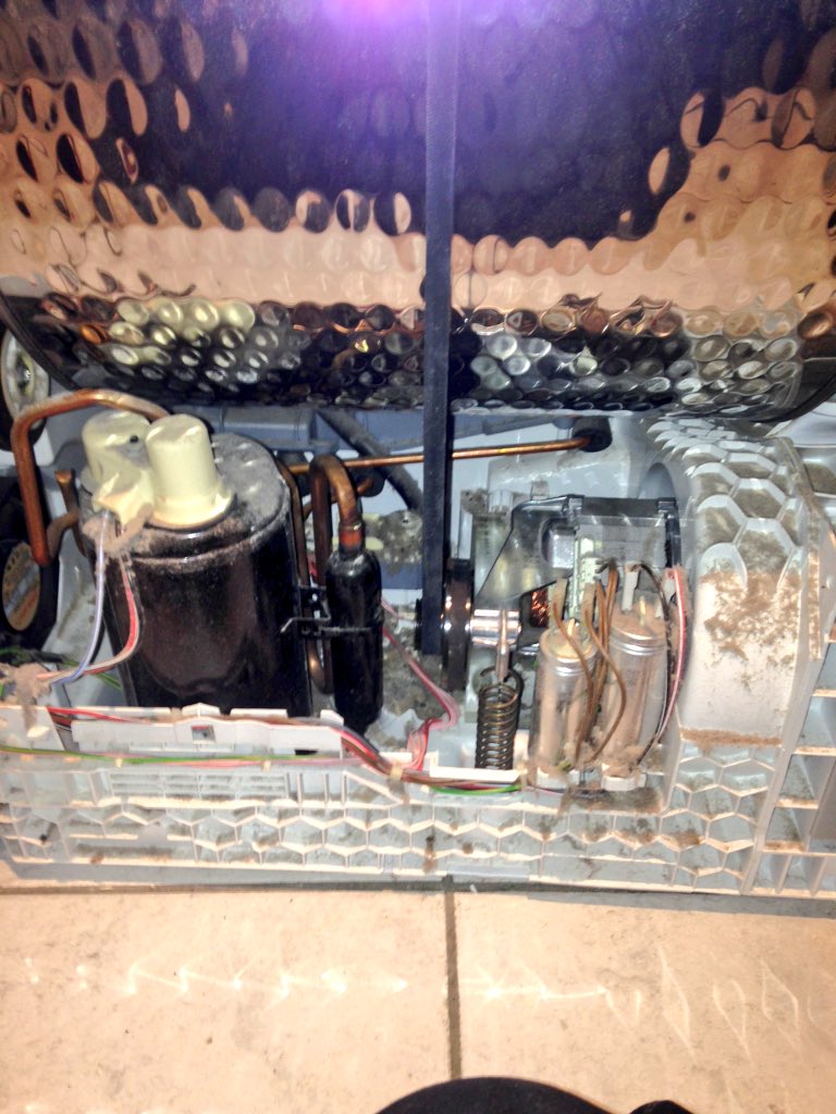 brixspindoctor's tweet photo. Don't put trainers in your #Dryer 2nd belt change thanks to rumbling shoes :-) #eastdulwich #SE22 #SW2 #dryerrepairs https://t.co/a1DganNau6