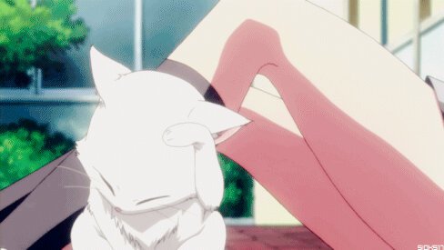ColitaLuis's tweet photo. #kawaii #nekas #siguemeytesigo #lunesdeganarseguidores #kawaii #lolis #Siguenos #buendia digan nya https://t.co/U1xGFvyFNL