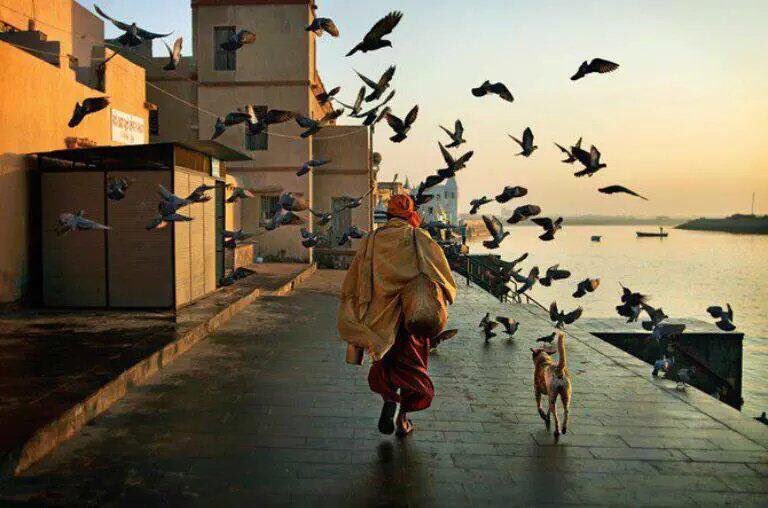 gazeteistiklal's tweet photo. Her şeyin yokluğunu çekmeli insan. Yokluk varlıktan daha görkemli ve daha anlamlıdır.

/Cemil Meriç/ https://t.co/PSwRk6UVp2