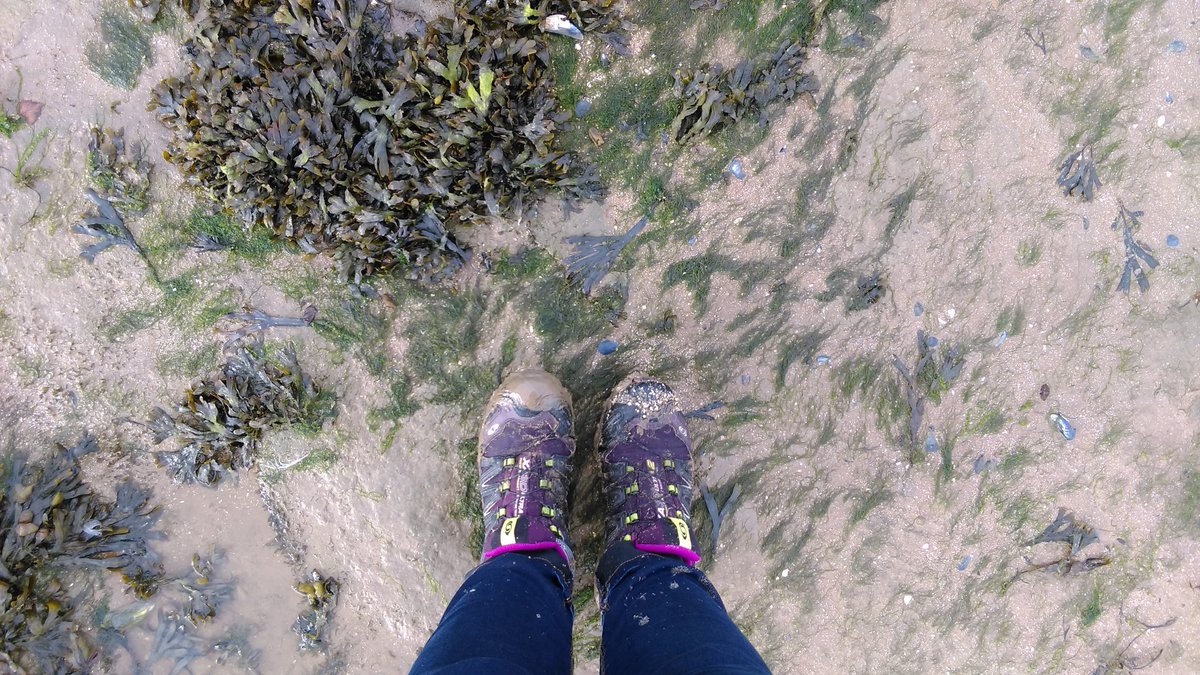 CotswoldReading's tweet photo. Our Ayla went to West Kirby last wknd. Lovely views &amp; comfy with @SalomonSports XA Pro 3D Ultra 2 GTX on her feet! https://t.co/EvEKPK5050