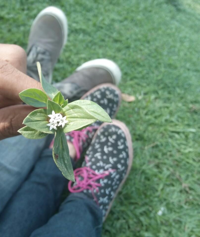 Aku tau masa lalu, akupun ingin kmbli kemasalalu, tp aku tau masa dpanku berjuang utk menjagaku &amp; aku menghargainya.