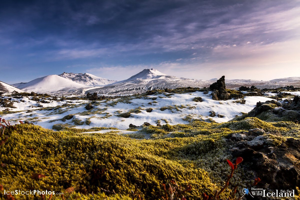 RafnSig's tweet image. #DiscoverWild #Iceland –Like the endless Moss,Lava and Volcanos  
Check out my winter tours: islandsmyndir.is/?page_id=1287