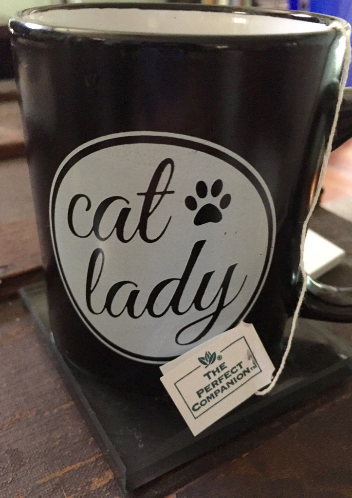 CBBlouin's tweet photo. #catladybox https://t.co/tOfKZQCf4Q